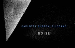 carlotta-gussoni-filocamo-noise-1