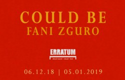 erratum-could-be-fani-zguro-copia-1