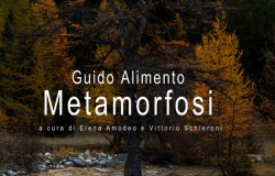 made4art-guido-alimento-metamorfosi-1