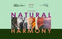 made4art_brera-photofestival_natural-armony-1