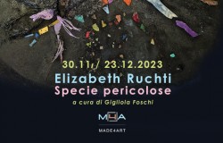 made4art_elizabeth-ruchti_gigliola-foschi-1-copia