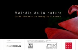 Made4Art_Guido Alimento copia