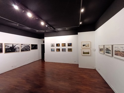 made4art_tree_group-exhibition_milano_brera-20